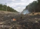 Пожежа на три гектари: Жінка з Малійок отримала штраф у розмірі 15 тисяч за спалення трави